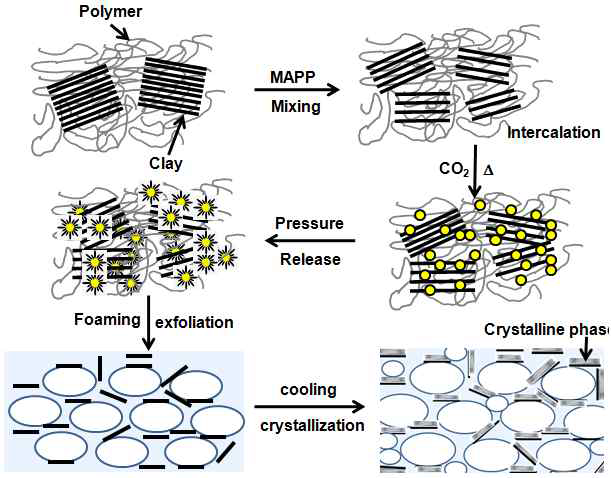 Schematic figure of the foaming process