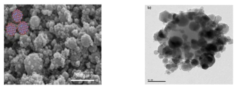 SEM and TEM images of PS/ Fe2O3 particles.