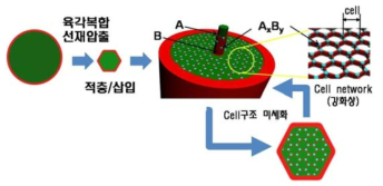 제어압출 및 반응제어를 통한 강화상 생성 및 셀구조 미세화과정 모식도