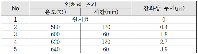 열처리 조건과 그에 따른 강화상 두께