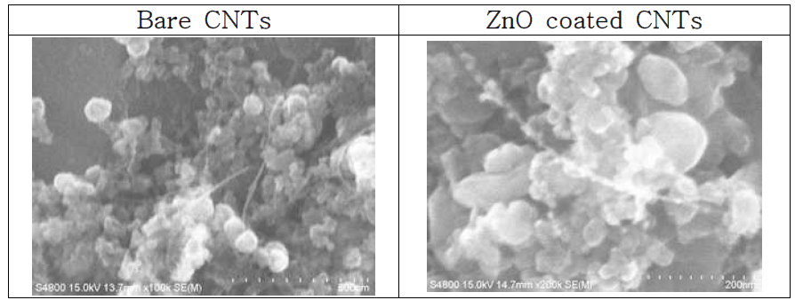 Bare CNT paste 박막과 그 위에 ZnO를 코팅한 CNT의 morphology