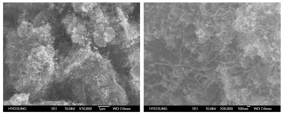 전계방출용 CNT 분석: SEM 사진