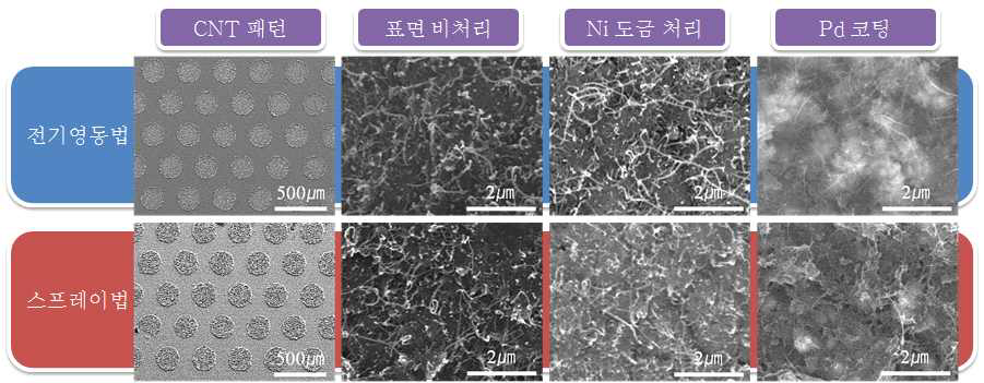 전기영동법/스프레이법으로 증착시킨 CNT비교, 각 Ni, Pd도핑 기판別로