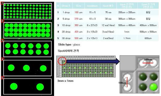 플라스틱 표면 1mm X 3mm 위에 Spotting Drop별 Size Test 결과