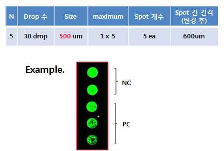 나노바이오시스(주) 6채널 PCR 챔버 내에 최적 Spotting Test