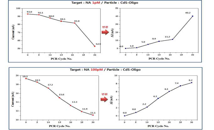 금속나노입자 (CdS)를 이용한 신종플루 (NA) 농도별(1pM, 100pM) Real-time PCR 결과 그래프