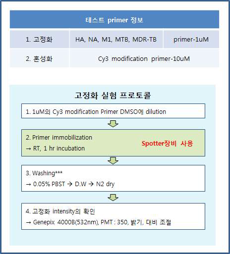 고정화 실험 방법