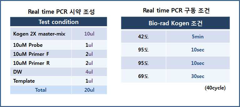 Real-time PCR 시약 및 구동 조건