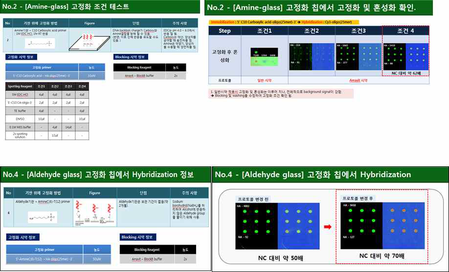 Amine & Aldehyde Glass의 고정화 및 혼성화 결과