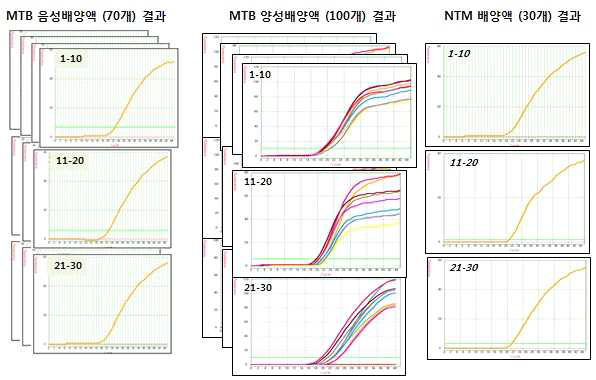 MTB / NTM 임상 시료의 형광식 Real-time PCR 결과