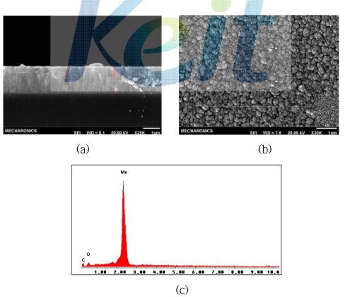 증착된 몰리브덴 박막의 (a) 단면, (b) 표면 및 (c) 표면 EDS 특성