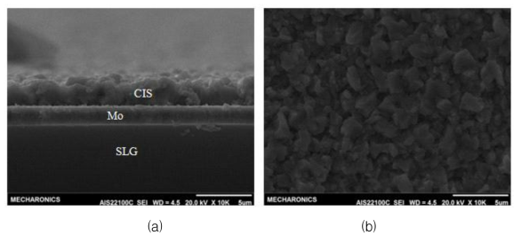 증착된 CIS 박막의 SEM 이미지