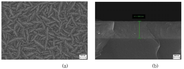 증착된 ZnAlO 박막의 (a) 표면 및 (b) 단면 image