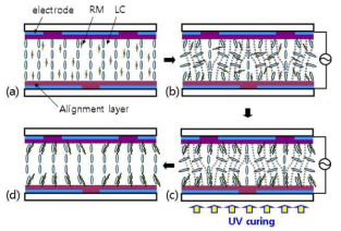 광반응성 액정 및 호스트액정을 활용한 수직배향기술의 모식도