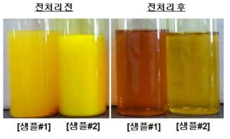 상용성 고분자 전처리 전후의 염료 용액