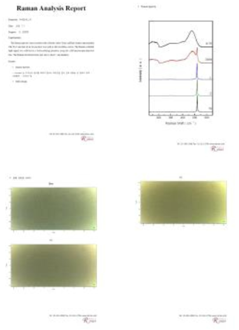 라만평가 Report