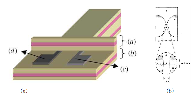 기판의 온도 측정에 사용되는 (a) 박막형 thermocouple 및 (b) 박막 Pt의 구조.