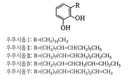 옻의 주성분인 우루시올의 구조식