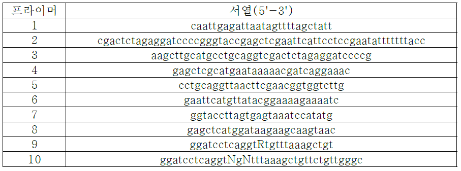 실험에 사용한 프라이머 서열