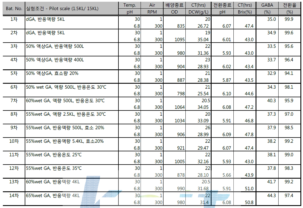 5차년도 Pilot 규모 스케일업 발효공정 및 효소전환공정 시험결과