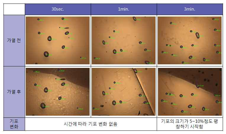 점착층에 침투한 기포의 열(350℃)에 의한 변화