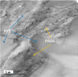 TEM Micrograph of PPE/PA66 Alloy