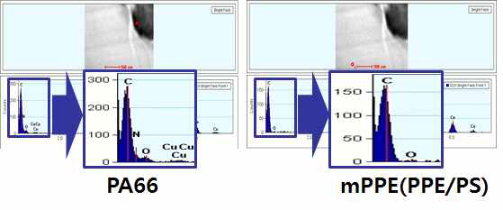 EDS를 통한 PA66와 mPPE 영역 확인