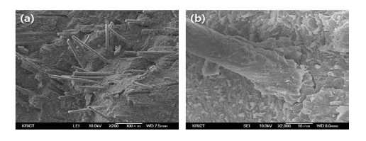 Epoxy-treated GF로 제조한 PPE/PA66 alloy 파단면의 SEM micrograph