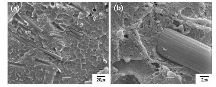 PU-treated CF로 제조한 mPPE 복합수지 파단면의 SEM micrograph