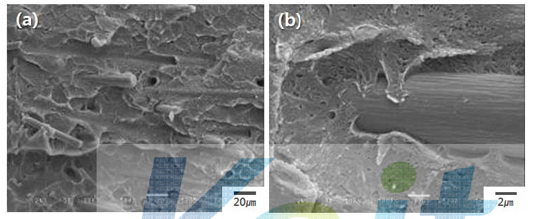 Epoxy-treated CF로 제조한 mPPE 복합수지 파단면의 SEM micrograph