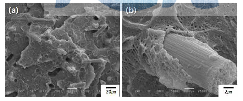 미개질 CF로 제조한 mPPE 복합수지 파단면의 SEM micrograph