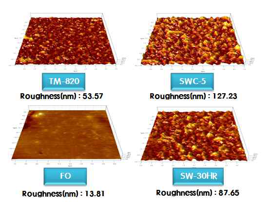 AFM 3D 이미지