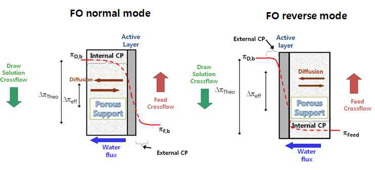 FO의 농도 분극 현상
