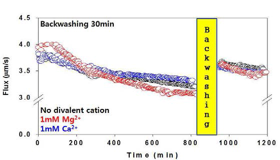 FO공정의 정삼투 backwashing의 효율