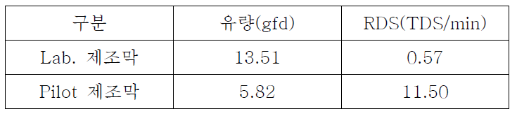 Lab. 제조막과 Pilot 제조막의 물성 비교