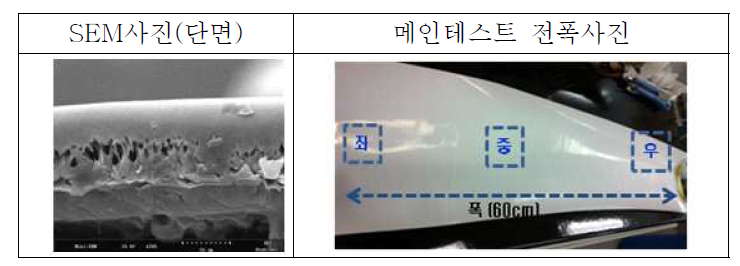 메인테스트 분리막 전폭 사진 및 SEM 사진