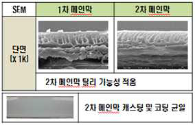 메인분리막 이미지 비교