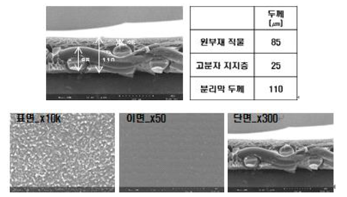 정삼투 분리막 두께 및 SEM 이미지