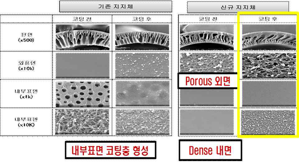 지지체별 코팅막 모폴로지