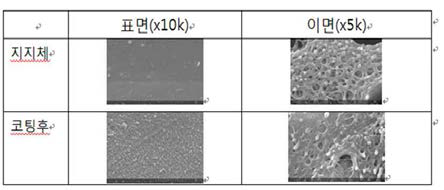 중공사형 정삼투 분리막 연속 1차 코팅의 SEM (표면, 이면)