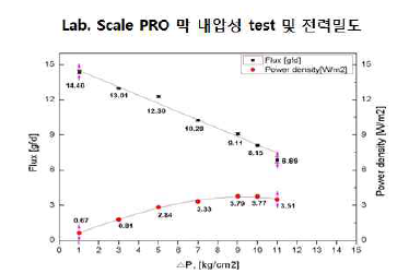 Lab. 제조 PRO 분리막