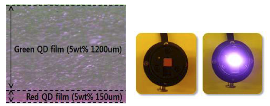 InP 양자점 사용 film 단면 및 package 사진
