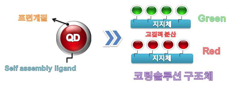 코팅솔루션 구조체 모식도: 양자점을 표면 개질하여 지지체에 자기 정렬방식으로 유도