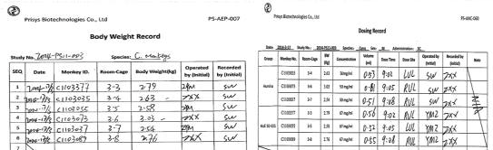 Cynomlogus Monkey 모델을 이용한 약동학 시험에 대한 체중 및 약물 주입에 대한 기록