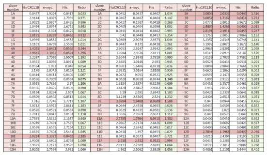 Twelve mono ScFv-phage clones with increased binding affinity to hCXCL10