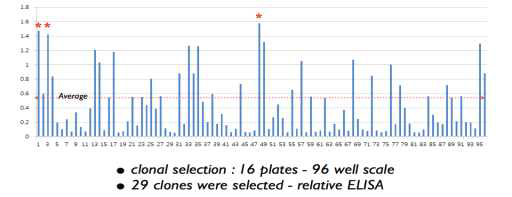 상대적으로 높은 ELISA score에 따라 선별된 29개의 clone 예시