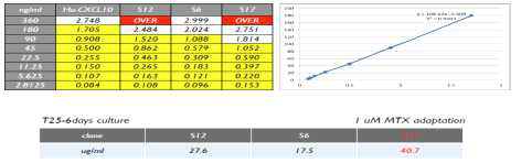 100 nM MTX에서 발현율이 좋은 3개의 clone에 대한 HuE10-101 발현양