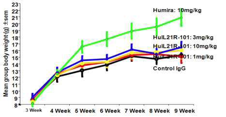 HuIL21-101을 농도 별로 투여 한 후 체중 변화를 측정한 결과