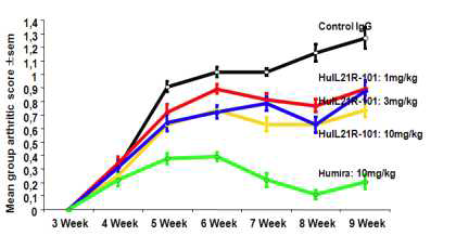 HuIL21-101을 농도 별로 투여 한 후 관절염 유발 점수(arthritic score) 측정한 결과.