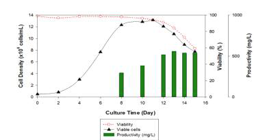 culture profile